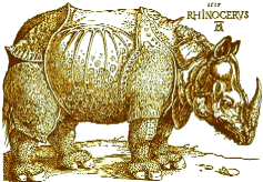 Dürer's RHINOCERVS